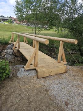 Lesena brv na Tunjščici